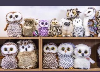 sova-optična-iluzija