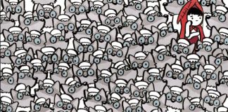 babica med volkovi optična iluzija