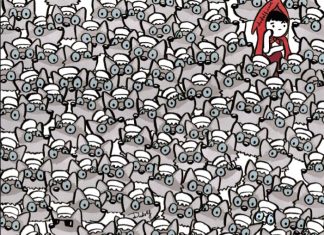 babica med volkovi optična iluzija