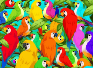 kameleon optična iluzija