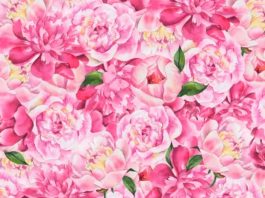 optična-iluzija-metulj