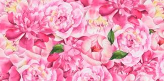 optična-iluzija-metulj