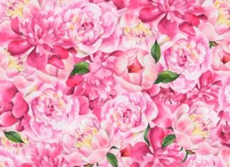 optična-iluzija-metulj