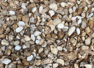 optična iluzija prsta