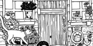 optična-iluzija-prstan