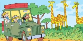 optična-iluzija-safari