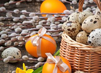 optična-iluzija-zajček