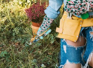 Naravni eliksir za vaš vrt: Domače gnojilo za bujen pridelek