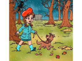 optična-iluzija-sprehod