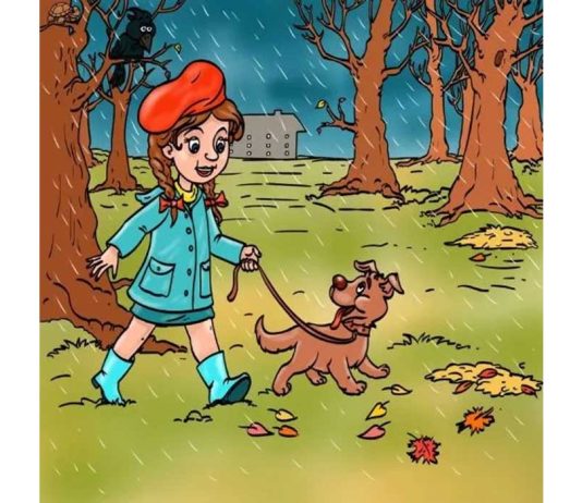 optična-iluzija-sprehod