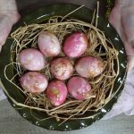 Zanimiv in enostaven način barvanja pirhov, ki ustvari čudovite vzorce