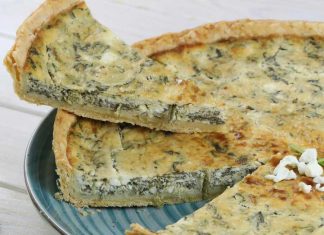 hitra-slana-pita