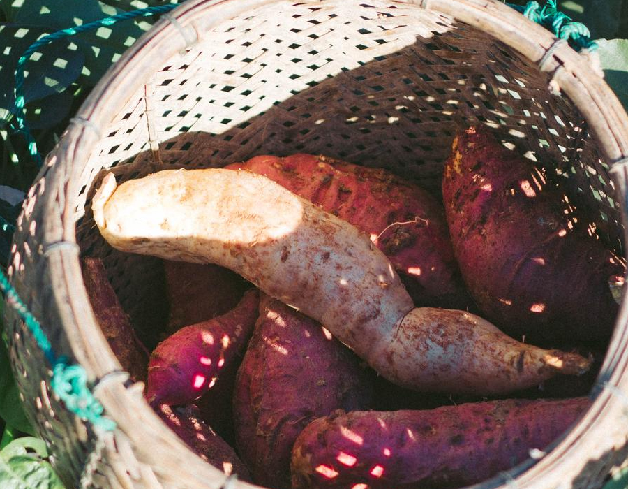 sladki-krompir sladki-krompir