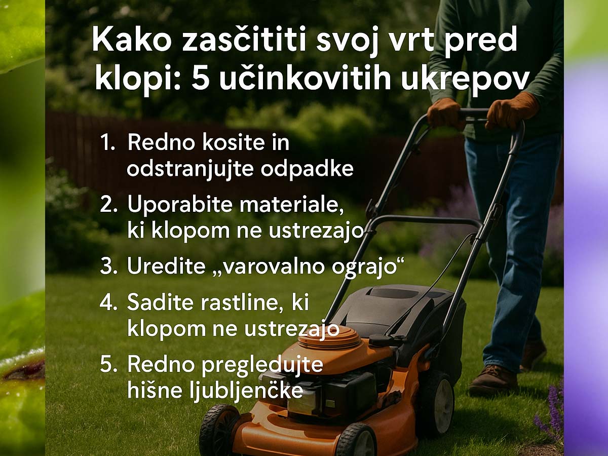 Top nasveti, kako zaščiti svoj vrt in sebe pred klopi