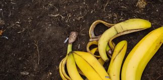 bananini-olupki-na-vrtu