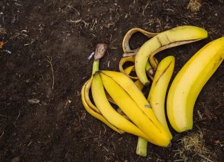 bananini-olupki-na-vrtu