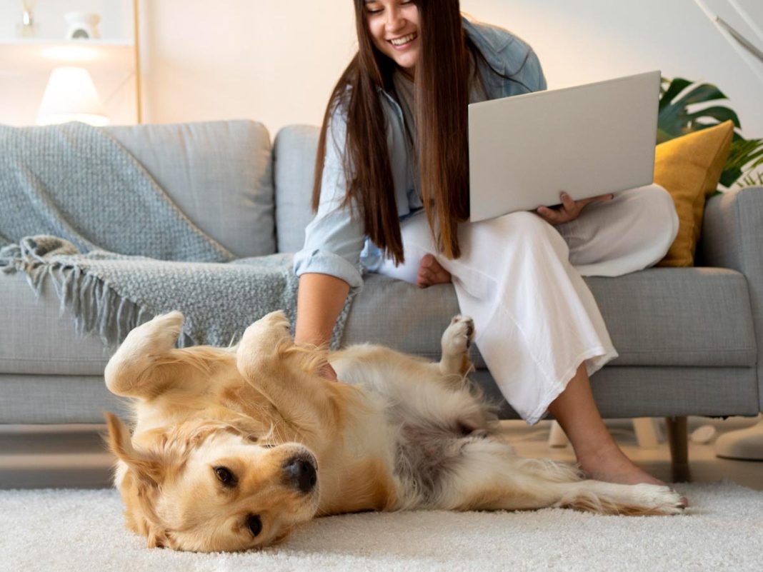 čist-dom-s-hišnimi-ljubljenčki