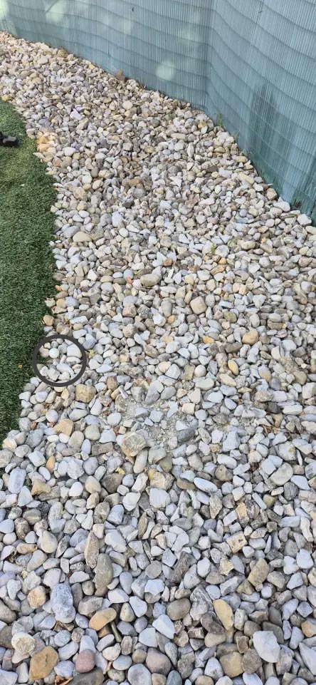 , Optična iluzija: Lahko med kamenjem najdete golf žogico?