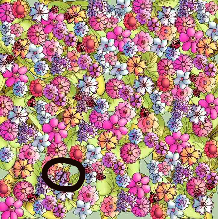 , Optična iluzija: Vam uspe na sliki najti skritega metulja?