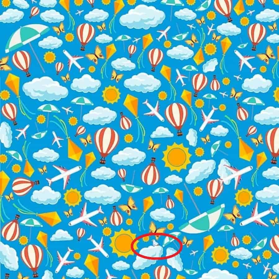 Optična iluzija: Ali lahko v 9 sekundah najdete ptico na tej sliki?