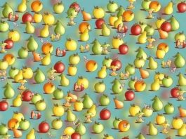 sadje-optična-iluzija