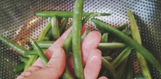 stročji-fižol-čas-kuhanja