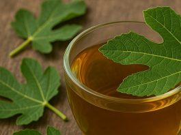 čaj-iz-figovih-listov