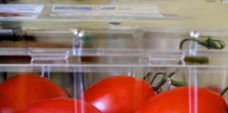 shranjevanje-paradižnika