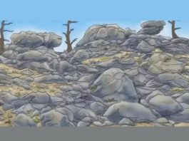 optična-iluzija-pes