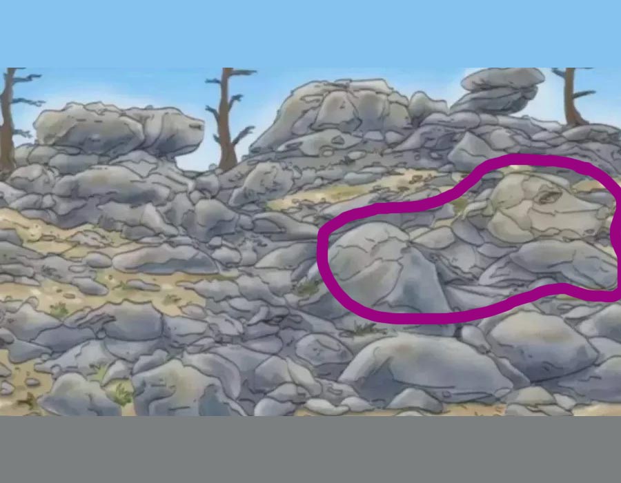 Optična iluzija, Optična iluzija, ki vam bo zmešala glavo: najdete skritega psa med skalami?