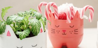 ponovna-uporaba-plastenk