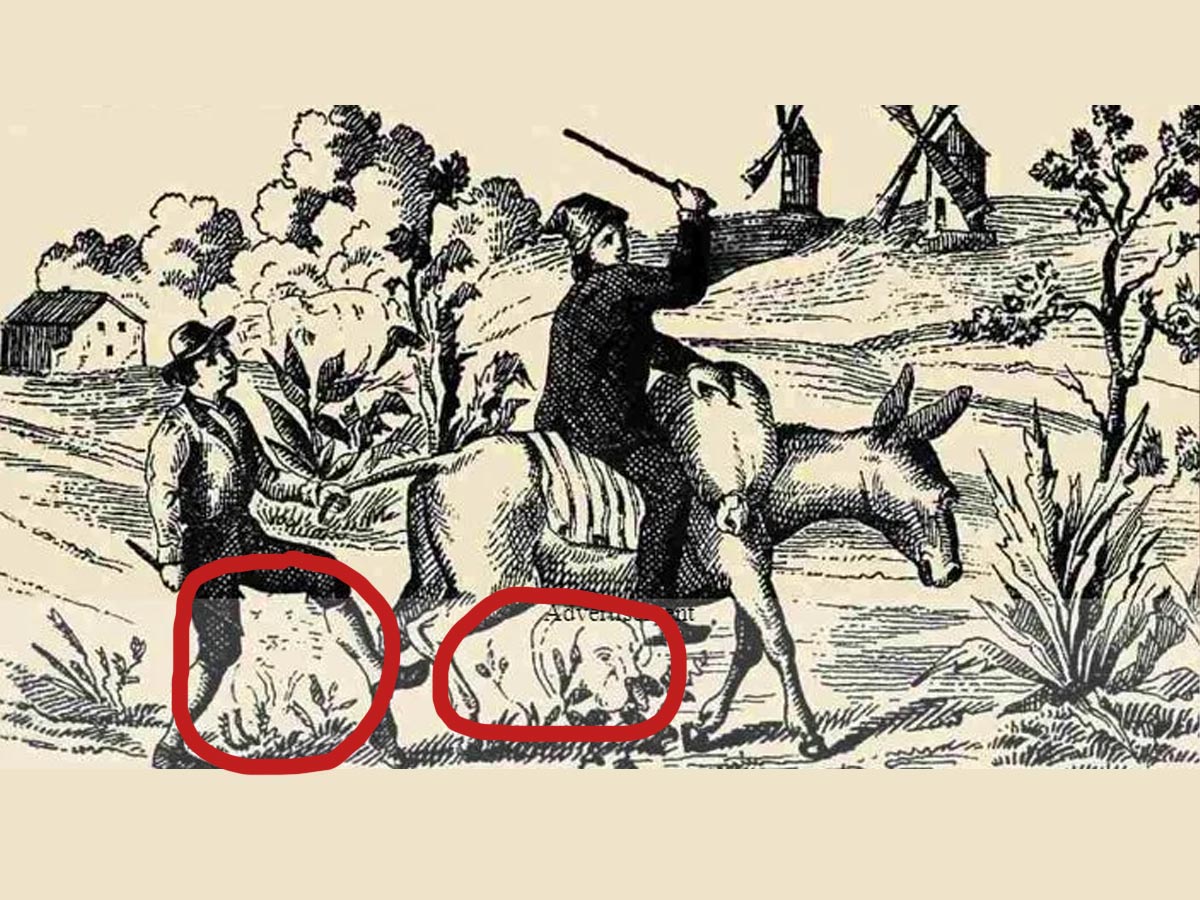 , Optična iluzija: vsi vidijo osla, le redki pa skrito mačko