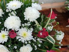 ikebana-dan-mrtvih
