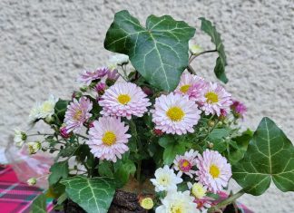 ikebana-za-manj-kot-5-e
