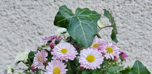 ikebana-za-manj-kot-5-e