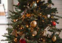 postavitev-božičnega-drevesa