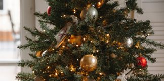 postavitev-božičnega-drevesa