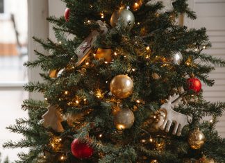 postavitev-božičnega-drevesa