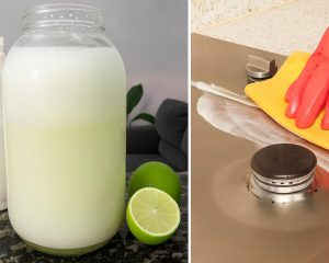 Kako narediti domači razmaščevalec iz sestavin, ki jih imate doma