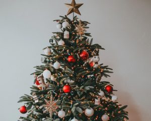 Če želite, da bo vaše božično drevo videti kot iz izložbe, potem teh stvari ne obesite nanj