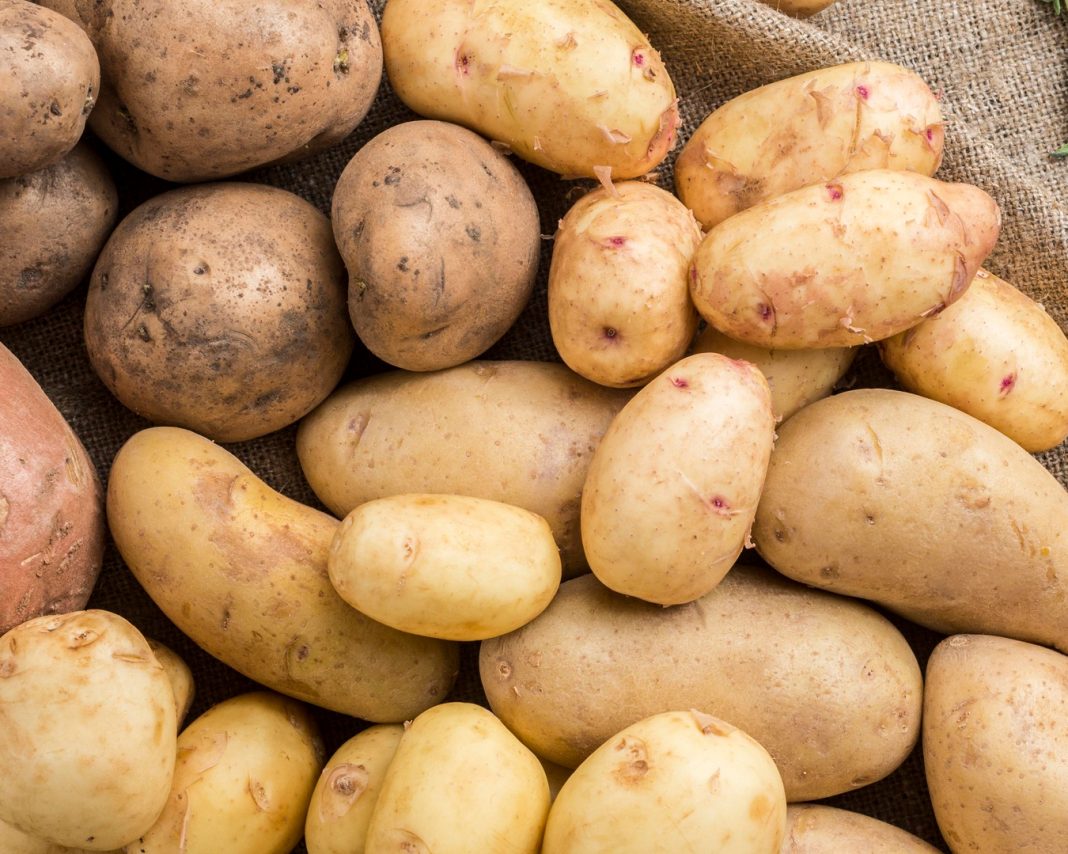 krompir-zelen krompir-zelen