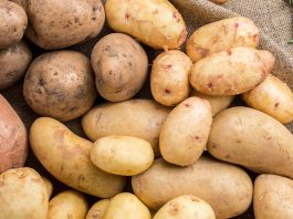 krompir-zelen