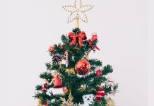 optična iluzija medvedek