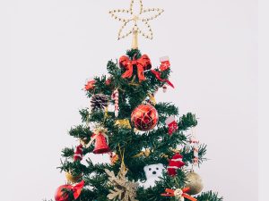 Praznični izziv za možgane: poiščite skritega medvedka