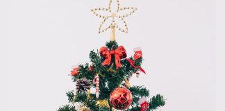 optična iluzija medvedek