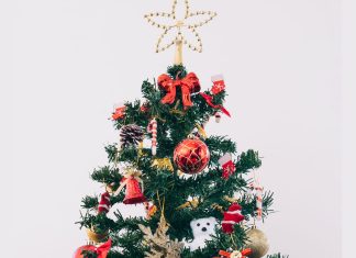 Praznični izziv za možgane: poiščite skritega medvedka optična iluzija medvedek