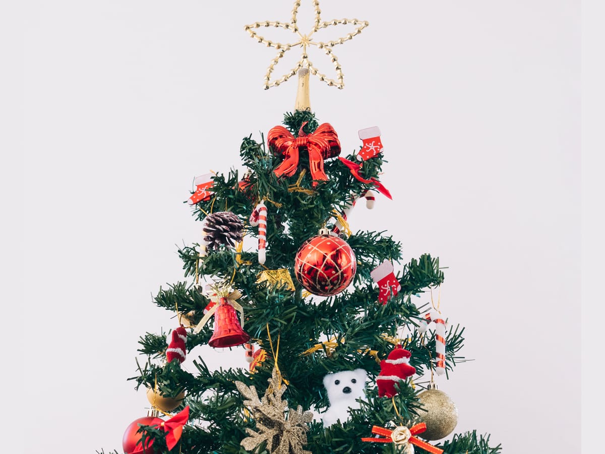 Praznični izziv za možgane: poiščite skritega medvedka