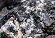 Pepela nikar ne mečite stran: Tako ga lahko koristno uporabite v vašem domu pepel-od-kurjenja