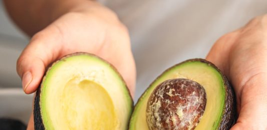 shranjevanje-avokada