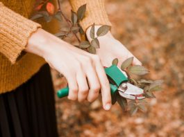 delo-na-vrtu-v-februarju